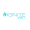 Ignite Vst