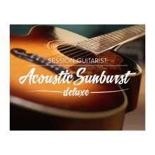 قیمت خرید فروش وی اس تی  نیتیو اینسترومنتز Session Guitarist Acoustic Sunburst Deluxe