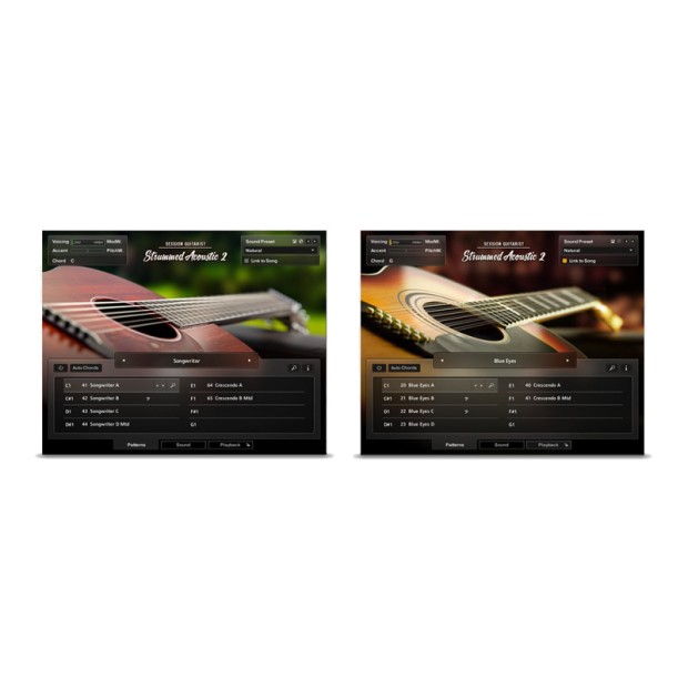وی اس تی پلاگین نیتیو اینسترومنتز Native Instruments Session Guitarist - Strummed Acoustic 2