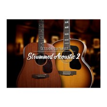 قیمت خرید فروش وی اس تی پلاگین نیتیو اینسترومنتز Native Instruments Session Guitarist - Strummed Acoustic 2