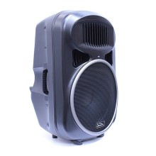 قیمت خرید فروش ساب ووفر اکتیو ساندکینگ Soundking PS 0115 SA