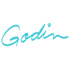 Godin گودین