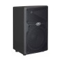 اسپیکر | باند اکتیو پی وی Peavey PVXp 10 DSP