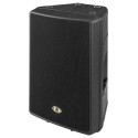 اسپیکر | باند اکتیو Dynacord D11 A