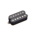 پیکاپ Fishman Fluence Open Core Classic Humbucker Pickups