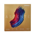 سیم ویولن D'Addario Ascenté Violin String Set, 4/4 Scale, Medium Tension 
