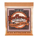 سیم گیتار آکوستیک Ernie Ball 2153 Earthwood Phosphor Bronze 12-String Acoustic Strings