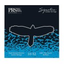 سیم گیتار الکتریک PRS Signature 10-52