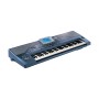کیبورد ارنجر موسیقی کرگ KORG Pa800