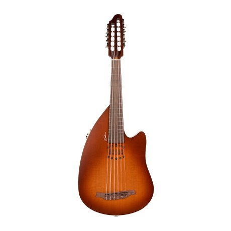عود گودین Godin Inuk Encore Steel