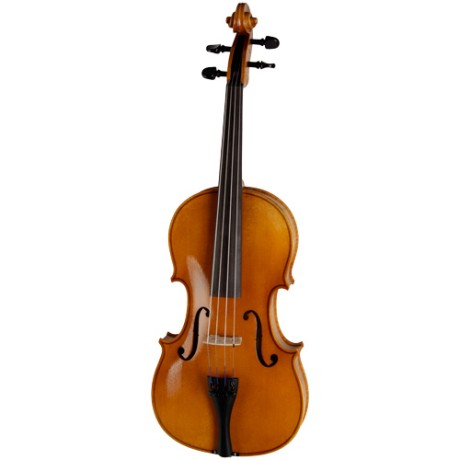 ویولا رودریچ Roderich Paesold PA702E