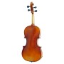 ویولن | ویولون رودریچ Roderich Paesold PA400