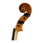 ویولن | ویولون رودریچ Roderich Paesold PA802E