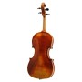 ویولن | ویولون رودریچ Roderich Paesold PA803E