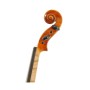 ویولن | ویولون رودریچ Roderich Paesold PA803HV-A