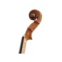 ویولن | ویولون رودریچ Roderich Paesold PA805