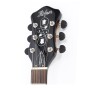 گیتار آکوستیک هافنر Hofner HCT-SL-SB-0