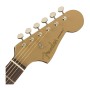 گیتار آکوستیک فندر Fender Redondo Player Bronze Satin