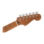 گیتار الکتریک فندر Fender Player Strat Limited Edition Roasted Maple 2-Color Sunburst