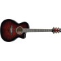 گیتار آکوستیک آیبانز IBANEZ A300E TCS