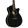 گیتار آکوستیک آیبانز IBANEZ AEG10E BK