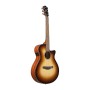 گیتار آکوستیک آیبانز Ibanez AEG50 DHH