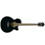 گیتار آکوستیک آیبانز IBANEZ AEG8E BK