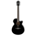 گیتار آکوستیک IBANEZ AEG10II BK