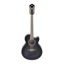 گیتار آکوستیک IBANEZ AEL2012E TKS