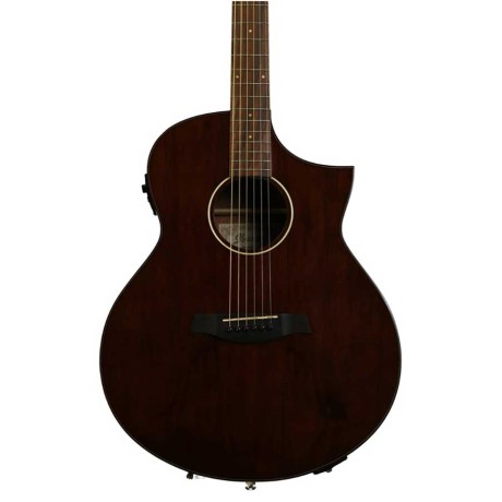 گیتار آکوستیک آیبانز Ibanez AEW40CD