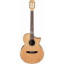 گیتار کلاسیک IBANEZ EWN30SYE NT