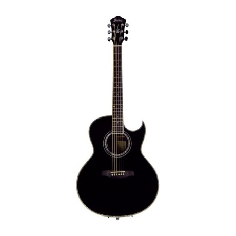 گیتار آکوستیک آیبانز IBANEZ JSA10 BK With Hard Case