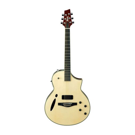 گیتار آکوستیک آیبانز IBANEZ MSC 380-NT