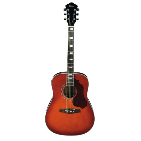 گیتار آکوستیک آیبانز IBANEZ SGT120E HS
