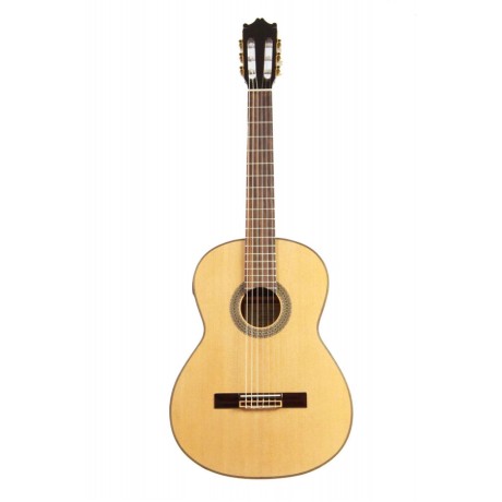 گیتار کلاسیک آیبانز IBANEZ G200E NT