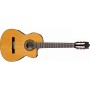 گیتار کلاسیک آیبانز IBANEZ G5ECE AM