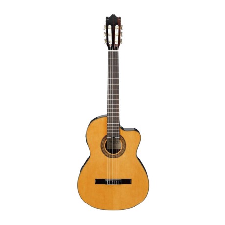 گیتار کلاسیک آیبانز IBANEZ G5ECE AM