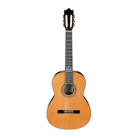 گیتار کلاسیک آیبانز IBANEZ G850 NT
