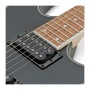 گیتار الکتریک آیبانز Ibanez RG421EX BKF