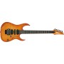 گیتار الکتریک آیبانز IBANEZ RG4570Z VV