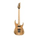 گیتار الکتریک IBANEZ RG721MSM-NTF