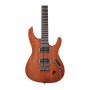 گیتار الکتریک آیبانز Ibanez S521 MOL