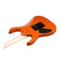 گیتار الکتریک آیبانز Ibanez RG460DX ROM