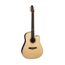 قیمت خرید فروش گیتار آکوستیک سیگال Seagull Artist Studio CW Element