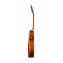 گیتار آکوستیک سیگال Seagull Entourage Rustic CW Concert Hall QIT