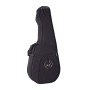 گیتار آکوستیک گودین Godin Multiac Nylon Encore GT Black