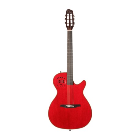 گیتار آکوستیک گودین Godin Multiac Steel Duet Ambiance