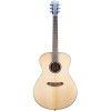 گیتار آکوستیک بریدلاو Breedlove Discovery S Dreadnought Concerto European Spruce African Mahogany DSCO01EUAM