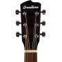 گیتار آکوستیک بریدلاو Breedlove Discovery S Dreadnought Concerto European Spruce African Mahogany DSCO01EUAM