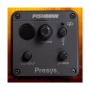 گیتار آکوستیک بریدلاو Breedlove Pursuit Exotic S Dreadnought Concerto Tigers Eye CE PSCO42CEMYMY